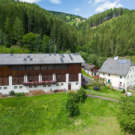 Hochfelner-Prutti - Stockerhof Villa Sankt Marein bei Knittelfeld Kültér fotó