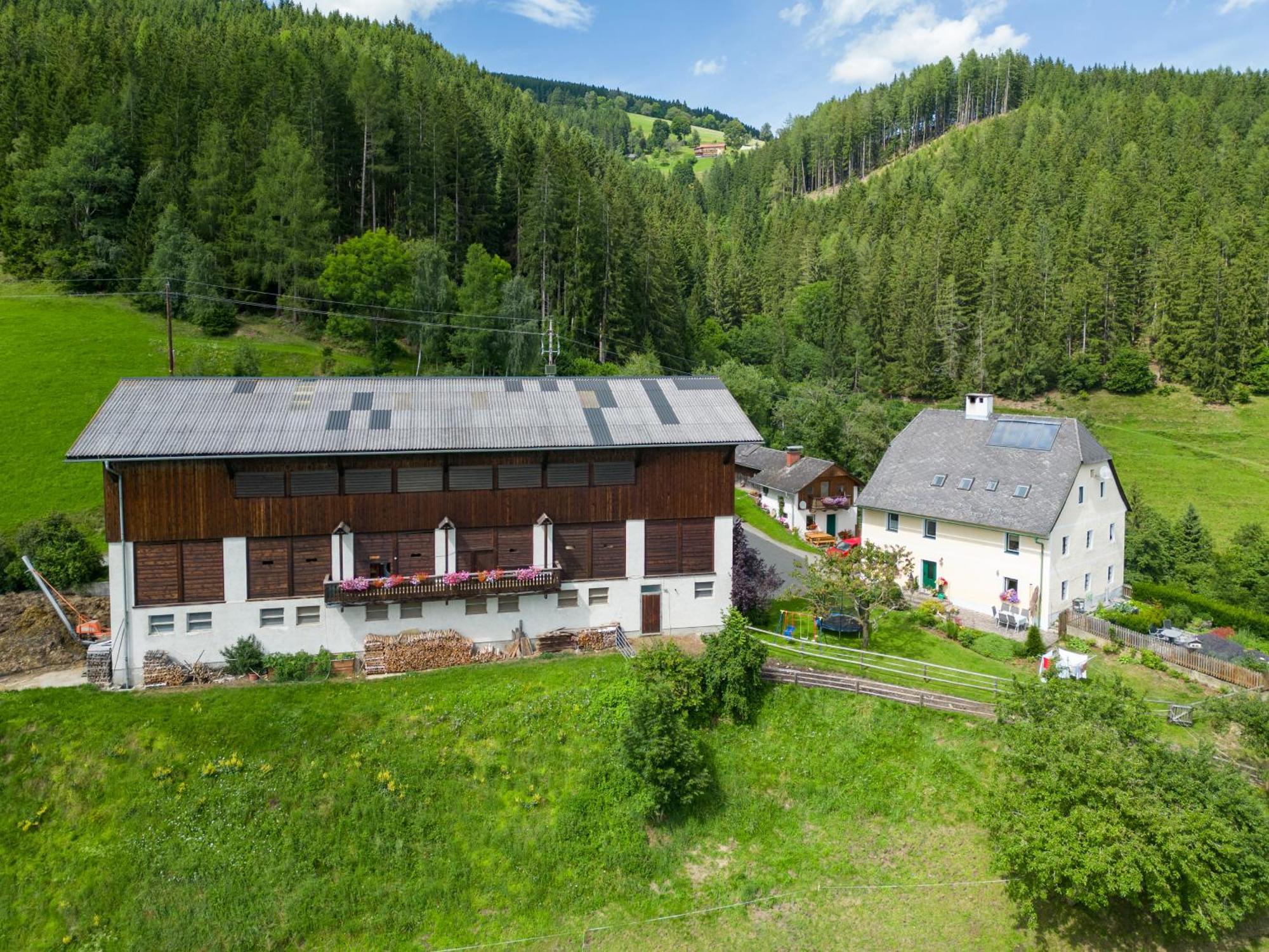 Hochfelner-Prutti - Stockerhof Villa Sankt Marein bei Knittelfeld Kültér fotó